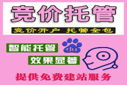某企业SEM推广策略的调整与效果提升